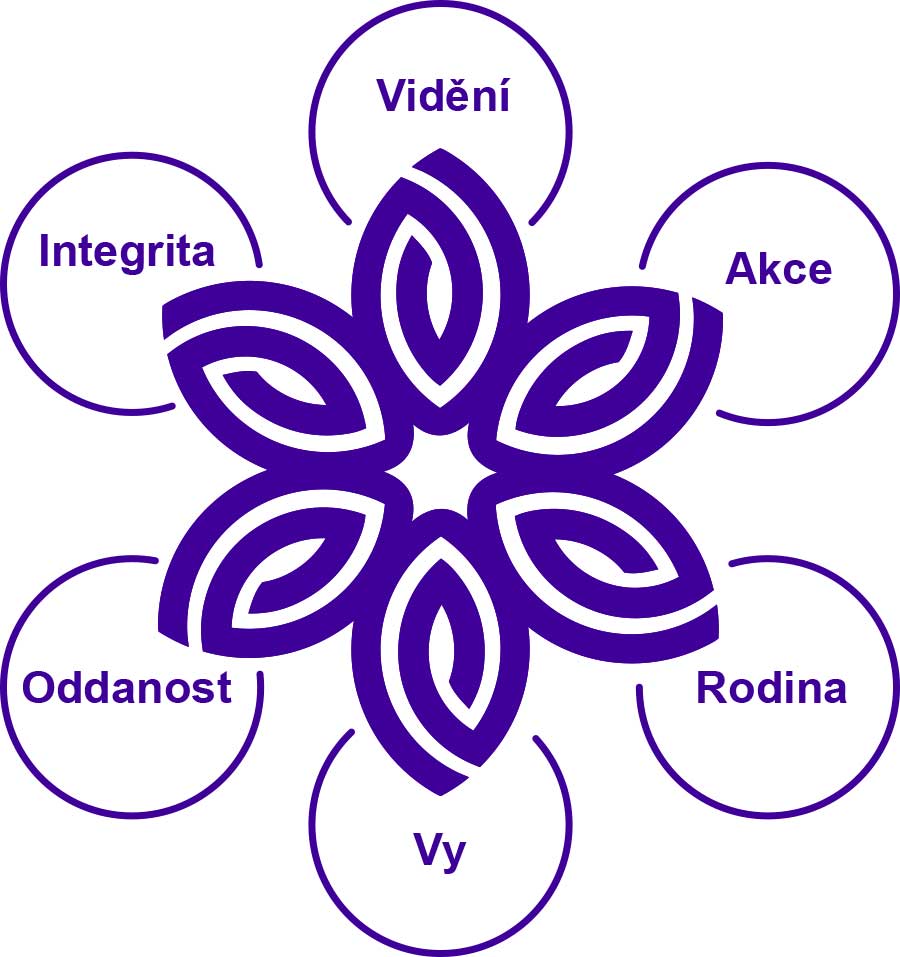 Vidafy logo flover with mission