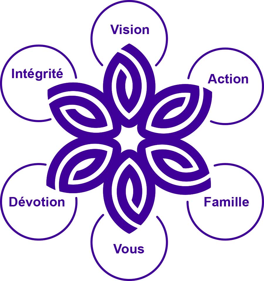 Vidafy logo flover with mission